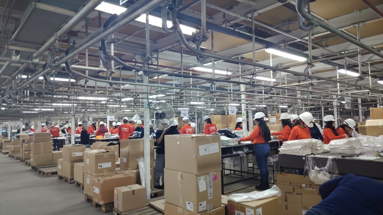 Reposición y Merchandising