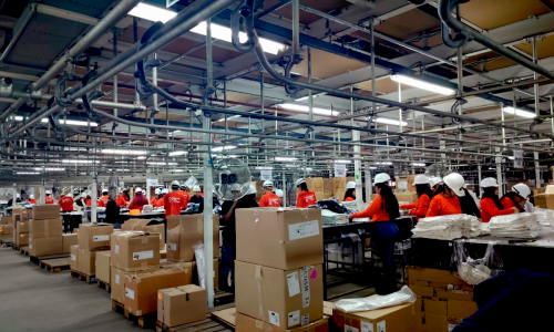 WhatsApp Image 2026-02-19 at 10.33.05 AM